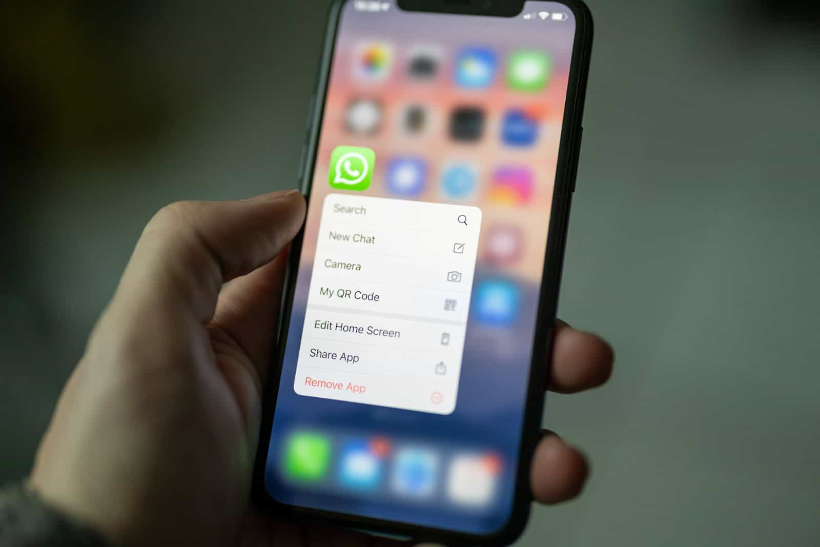 whatsapp, web, person holding black android smartphone