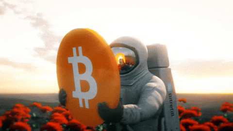 Bitcoin, BTC, Beginner's Guide, Blockchain, Cryptocurrency, Financial Freedom